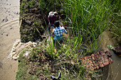 Karaikal, India - 19 September 2010: Aerial view of two workers knee-deep in water, battling the verdant overgrowth near a brick structure, a scene of labor against nature's relentless embrace.