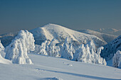 View of snow-laden trees stand like frosted sculptures against the backdrop of the majestic Velka Fatra mountains under a crisp blue sky, Liptovské Revúce, Žilina Region, Slovakia.