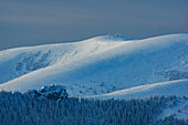 View of snow-covered Velka Fatra mountains under a soft sky, with frosted trees creating a serene winter landscape, Liptovské Revúce, Žilina Region, Slovakia.