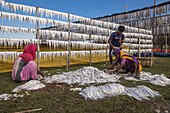 Cox's Bazar, Bangladesh - 29 November 2022: View of women in vibrant saris and a man sorting silvery fish against a backdrop of drying racks under a bright sky.