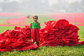 Bogura, Bangladesh - 18 June 2023: View of a beaming young girl stands amidst a vibrant field of crimson fabrics spread out to dry, a vivid splash of color on the green landscape.