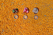 Bogura, Bangladesh - 14 April 2020: Aerial view of a vast expanse of golden corn kernels spread under the sun, interspersed with vibrant textiles and gleaming metal bowls.