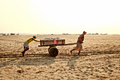 Cox's Bazar, Bangladesh - 07 March 2022: View of two men straining against the sandy ground, pulling a cart laden with silver fish towards the distant sea boats.