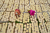 Bogura, Bangladesh - 30 July 2025: Aerial view of women in vibrant saris amidst a geometric array of drying food, creating a textured mosaic in the sun..