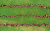 Bogura, Bangladesh - 07 March 2019: Aerial view of people standing in neat lines on a vibrant green field, their forms creating a striking pattern against the lush background.