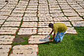 Bogura, Bangladesh - 04 May 2023: Aerial view of rows of sun-drying food items on mats, creating a textured pattern against the lush green grass, as a worker carefully arranges them.