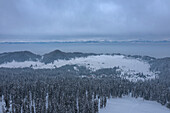 Aerial view of snow-laden evergreens and white fields blending under a hazy sky, with distant mountain ranges barely visible on the horizon, Gulmarg, Jammu and Kashmir, India.