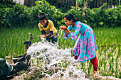Bogura, Bangladesch - 25. Juli 2022: Kinder lachen fröhlich, während Wasser aus einer Handpumpe inmitten der leuchtend grünen Reisfelder sprudelt.