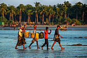 Bogura, Bangladesh - 24 January 2019: View of men wading through the shallow waters of a beach, carrying baskets and pots, against a backdrop of palm trees.