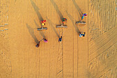 Bogura, Bangladesh - 23 January 2017: Aerial view of golden grains drying under the sun, as farmers rake and spread the harvest in a symmetrical dance of labor and tradition.