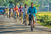 Bogura, Bangladesh - 07 November 2017: View of men cycling down a sun-drenched road, their vibrant shirts and lungis standing out against the green foliage.