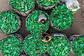 Bogura, Bangladesh - 19 January 2022: Aerial view of workers surrounded by a sea of vibrant green bottles, creating a vivid mosaic of labor and material.