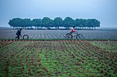 Rangpur, Bangladesh - 01 December 2019: View of a boy runs with a tire while another rides a bicycle on a path through the agricultural fields.