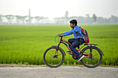 Bogura, Bangladesh - 29 March 2022: View of a young boy cycling along a road adjacent to verdant rice fields, his red backpack a vivid splash against the bright green landscape.