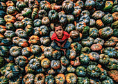 Bogura, Bangladesh - 31 July 2019: Aerial view of a young boy amidst a sea of pumpkins, their mottled greens and oranges creating a vibrant tapestry.