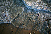 Kovalam, India - 15 February 2007: Aerial view of the sun-kissed Kovalam beach where the golden sand meets the frothy turquoise waves as people play and relax.