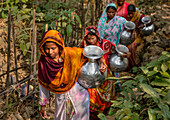 Bogura, Bangladesh - 11 December 2019: View of women in vibrant saris, their faces etched with determination, trek through lush greenery, carrying gleaming metal pitchers filled with water.