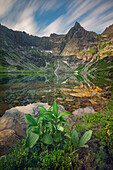 Blick auf den ruhigen See, in dem sich die hoch aufragenden Felsgipfel unter einem wolkenverhangenen Himmel spiegeln, umrahmt von leuchtend grünem Laub und Blumen, Tatranská Javorina, Region Prešov, Slowakei.