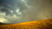 Blick auf einen leuchtenden Regenbogen, der sich über einem dramatischen Himmel über einem weiten goldenen Feld spannt, eingerahmt von fernen Bergen, Deosai National Park, Gilgit Baltistan, Pakistan.