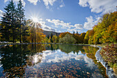 View of the sun shining over the still lake reflecting the autumnal trees in vibrant hues, with fallen leaves floating on the surface, Salasky, Turecká, Banskobystrický kraj, Slovakia.