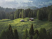 Aerial view of rustic wooden cabins nestled on verdant hillsides amidst a dense forest, bathed in the soft glow of dawn, Seiser Alm, Dolomites, Italy.