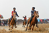 Rajshahi, Bangladesch - 24. Januar 2024: Blick auf junge Jockeys, die auf Pferden über ein goldenes, sonnenüberflutetes Feld reiten, eine jubelnde Menge, die zuschaut, und flatternde Fahnen.