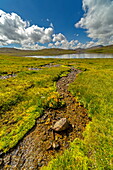 View of a vibrant green meadow bisected by a clear, shallow stream leading to a serene lake under a bright sky streaked with fluffy clouds, Deosai National Park, Gilgit Baltistan, Pakistan.