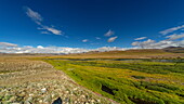 View of a vibrant green meadow bisected by a stream under a vast blue sky dotted with fluffy clouds, blending into the distant mountains, Deosai National Park, Gilgit Baltistan, Pakistan.
