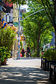 Brooklyn, United States - 13 August 2025: View of a sun-drenched street with bright green trees and foliage casting shadows on the sidewalk, a vibrant urban scene.