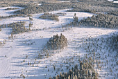 Aerial view of a serene winter landscape, where snow-covered trees and open fields create a mosaic of light and shadow, Rovaniemi, Finland.