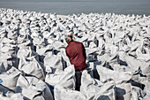 Gaibandha, Bangladesh - 15 December 2024: View of a sea of white sacks under a bright sky, with a figure in a red shirt amid the monochrome landscape.