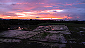 Luftaufnahme von Reisfeldern, in denen sich die leuchtenden Farben des Sonnenuntergangs widerspiegeln, eine Mischung aus Orange, Rosa und Lila über der Landschaft, Tiwi, Iloilo, Philippinen.