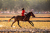 Tangail, Bangladesh - 28 December 2024: View of a vibrant horse race on the golden fields, a blur of motion as the rider in red urges the steed forward, dust swirling in the sun's warm embrace.