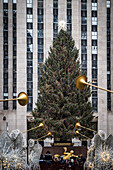 New York, Vereinigte Staaten - 24. Dezember 2023: Blick auf den hoch aufragenden Weihnachtsbaum des Rockefeller Centers, dessen Stern vor dem Hintergrund der gitterartigen Fassade des Gebäudes funkelt.