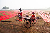 Narsingdi, Bangladesch - 08. Dezember 2024: Blick auf leuchtend rote Stoffe, die über die sonnenbeschienenen Felder gespannt sind, mit einem Kind auf einem rustikalen Holzkarren und einem Fahrradfahrer in der Nähe.