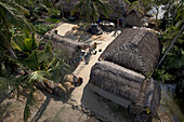 Aerial view of thatched-roof houses nestled among verdant trees, casting long shadows on the sandy ground, a tranquil scene of rural life, Sundarban, West Bengal, India.