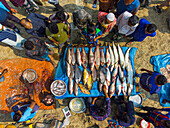 Bogura, Bangladesh - 15 February 2023: Aerial view of fish market bustling with activity, vibrant colors of fish contrasting with the muted tones of the sandy ground.