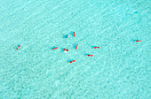 Aerial view of paddle boarders dotting the turquoise expanse of the ocean, a tranquil scene of leisure and vibrant color, Thoddoo, Alif Alif Atoll, Maldives.