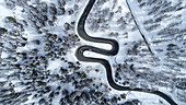Aerial view of a winding road cutting a dark path through a snow-laden forest, a stark contrast of white and grey, Maloja Pass, Grisons, Switzerland.