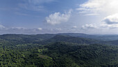 Luftaufnahme von üppig grünen Hügeln, die sich unter einem weiten, wolkenverhangenen Himmel erstrecken. Die Landschaft ist in verschiedenen Smaragd- und Jade-Tönen gehalten, Ekiti West, Ekiti, Nigeria.