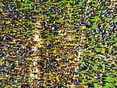 Joypurhat, Bangladesh - 24 June 2023: Aerial view of a vibrant cow market teeming with livestock, creating a mesmerizing tapestry of brown, white, and black against the green field.