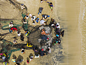 Luftaufnahme von Fischern, die ein Netz mit silbrig glitzerndem Fang am sandigen Ufer, wo der Ozean auf das Land trifft, umringen, Palomino, La Guajira, Kolumbien.