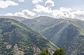 View of a majestic mountain range covered in lush green vegetation, bathed in soft sunlight under a sky dotted with fluffy white clouds, Frattura Vecchia, Abruzzo, Italy.