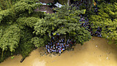 Aerial view of crowds gathering near the muddy riverbank adjacent to the dense, verdant Osun-Osogbo Sacred Grove, Osogbo, Osun, Nigeria.