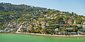 Aerial view of houses cascading down a verdant hillside towards the tranquil waters of the bay, a tapestry of nature and architecture, Sausalito, California, United States.