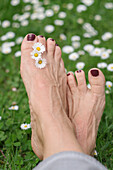 Nackte Füße auf Gänseblümchenwiese im Frühling