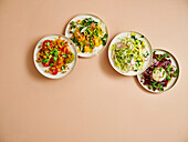 Four salads - orange-fennel, apple-cabbage, tomatoes with breadcrumbs, beetroot