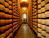 Lager with Parmigiano Reggiano loaves