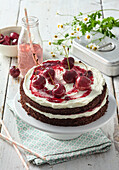 Chocolate cake with vanilla creme and sour cherries in cherry liqueur