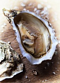 Eine geöffnete Auster mit Meersalz auf Holzuntergrund